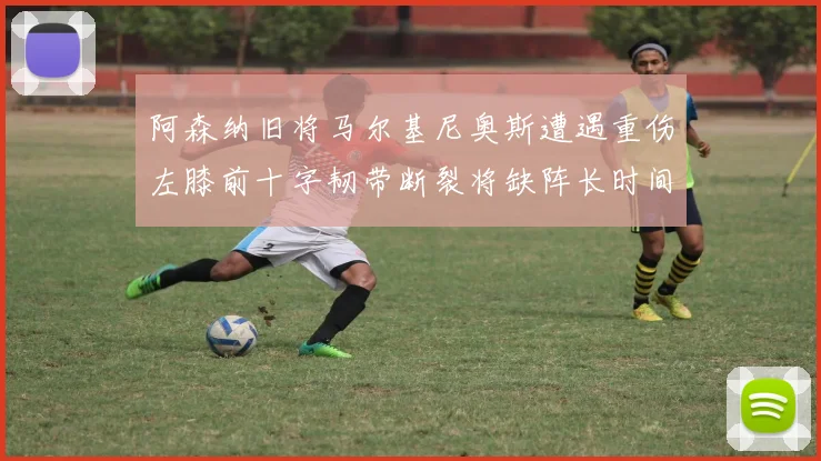 阿森纳旧将马尔基尼奥斯遭遇重伤左膝前十字韧带断裂将缺阵长时间