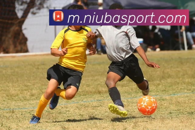 牛八体育发展历程